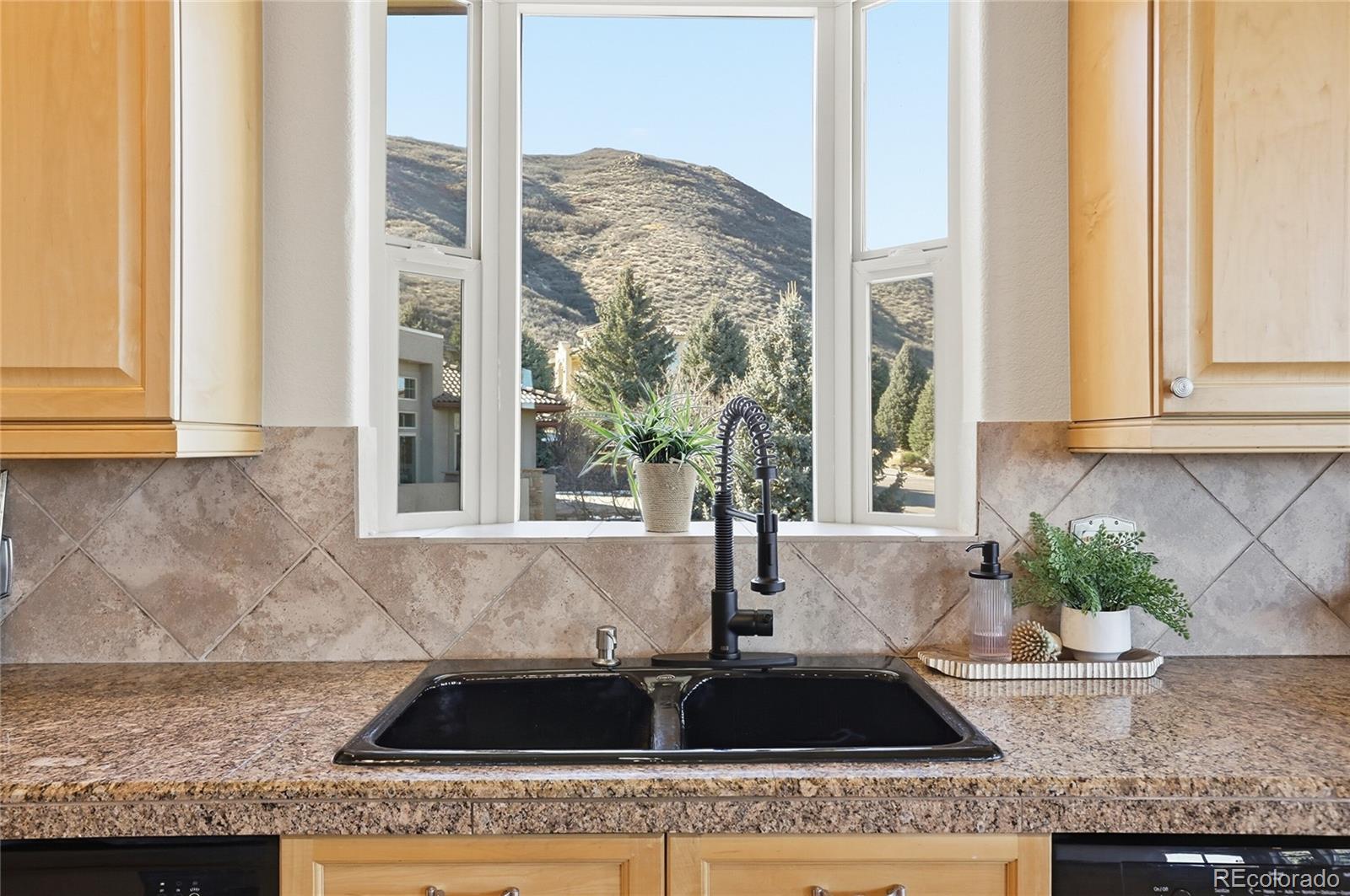 MLS Image #10 for 11162 w mesa run,littleton, Colorado