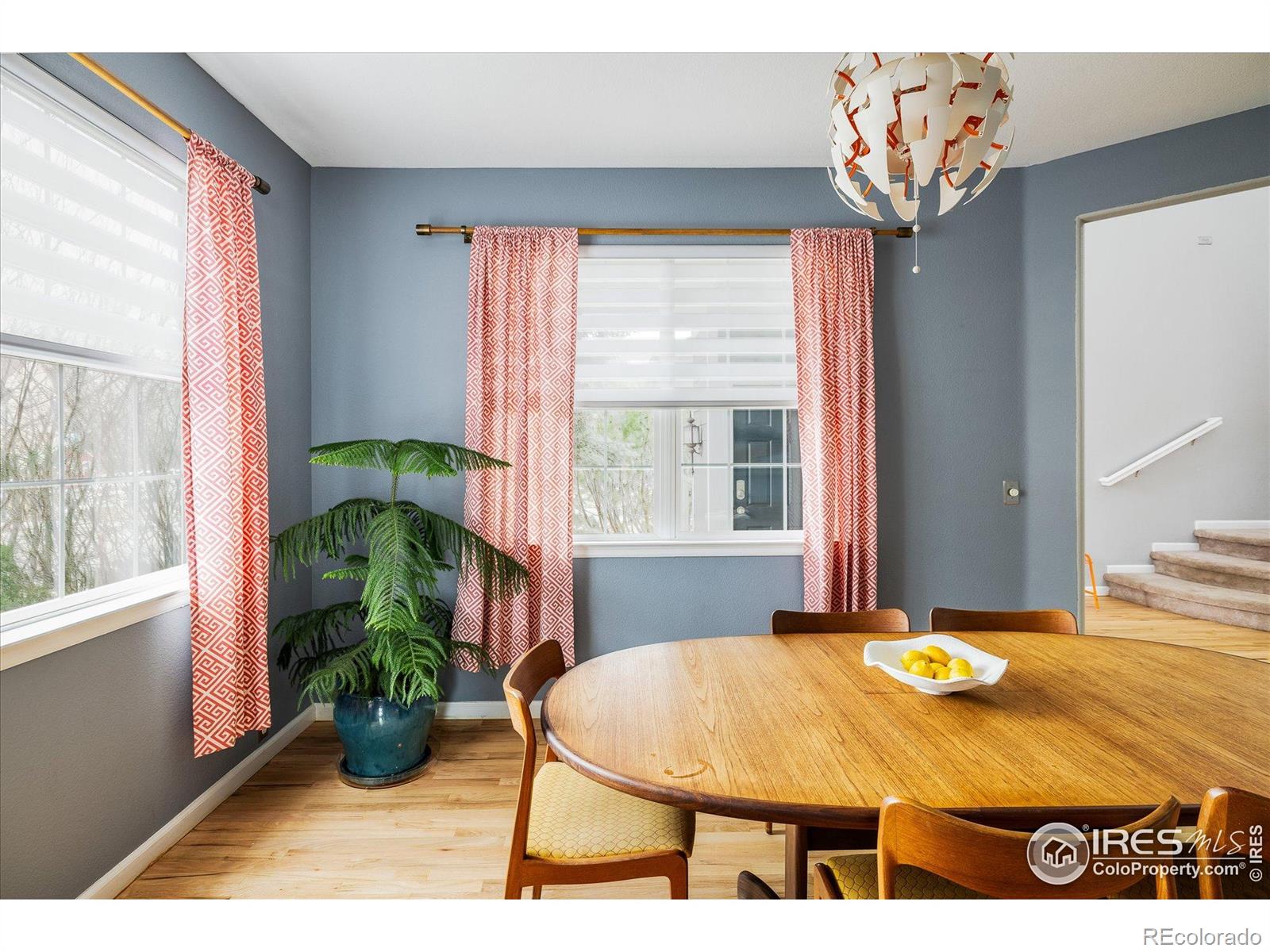 MLS Image #13 for 5001  bella vista drive,longmont, Colorado