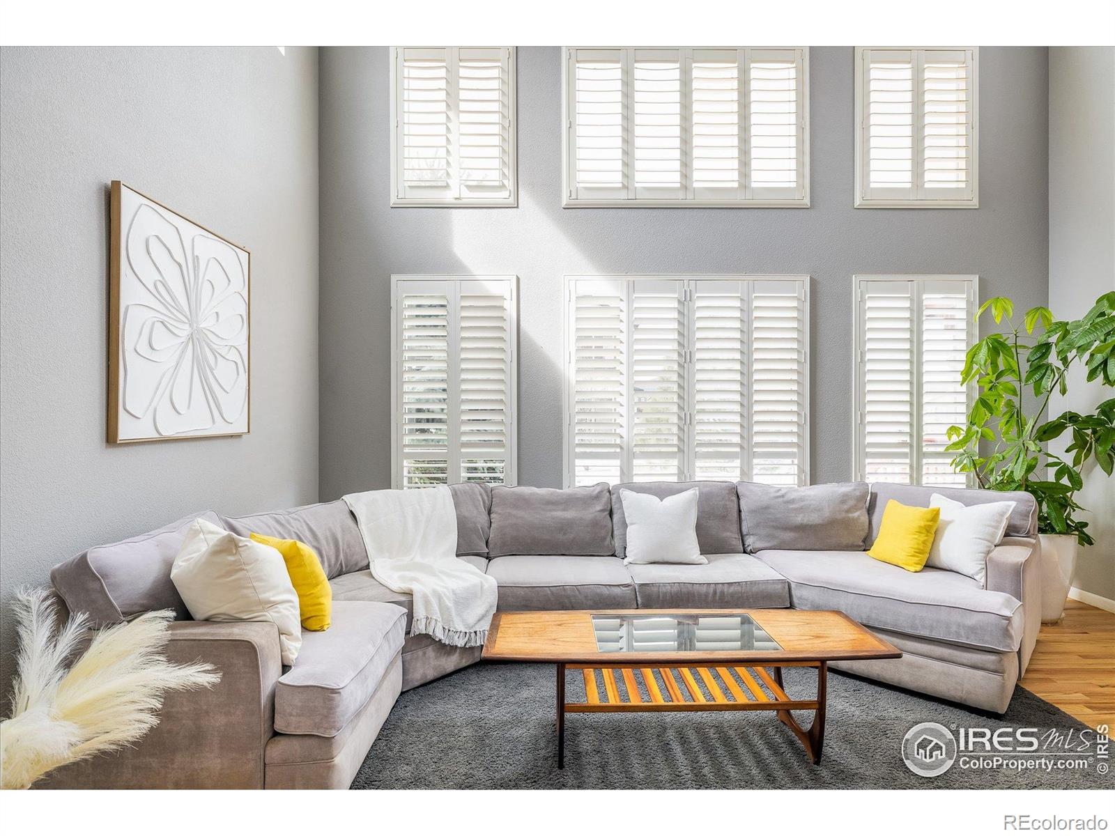 MLS Image #3 for 5001  bella vista drive,longmont, Colorado