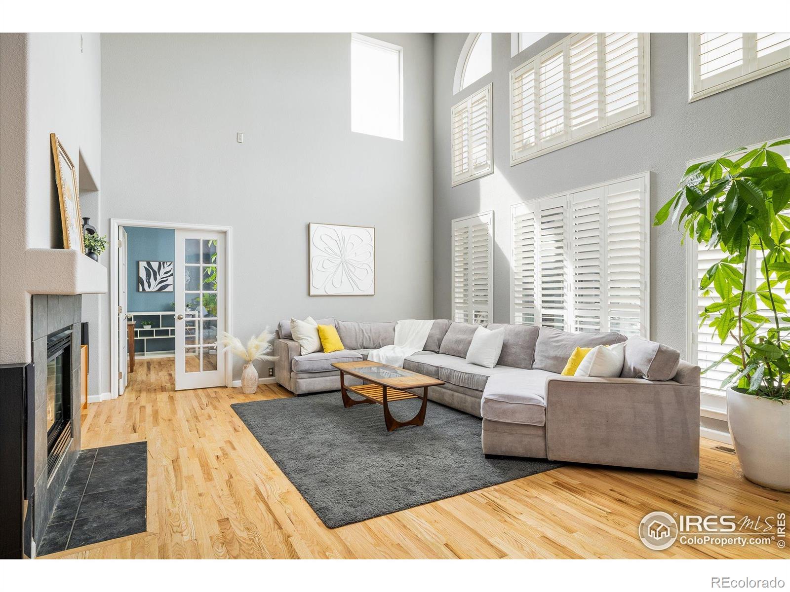 MLS Image #4 for 5001  bella vista drive,longmont, Colorado