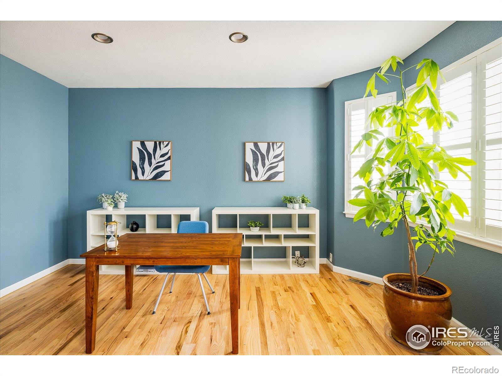 MLS Image #5 for 5001  bella vista drive,longmont, Colorado