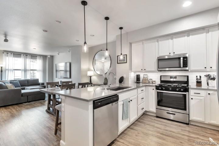 MLS Image #3 for 6814  bethany drive,parker, Colorado
