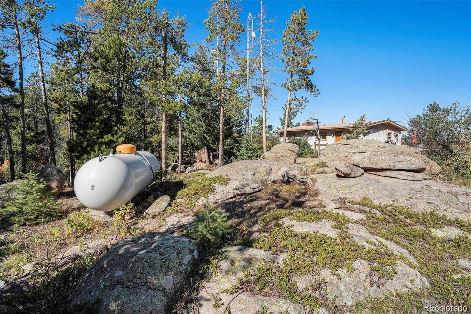 MLS Image #19 for 8701  majestic view drive,conifer, Colorado