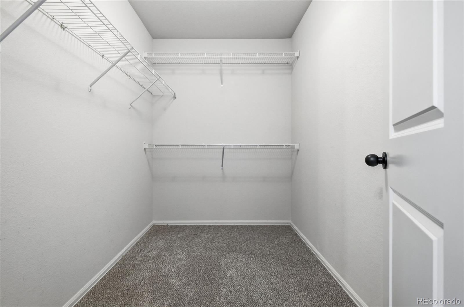 MLS Image #31 for 1506  new season drive,windsor, Colorado