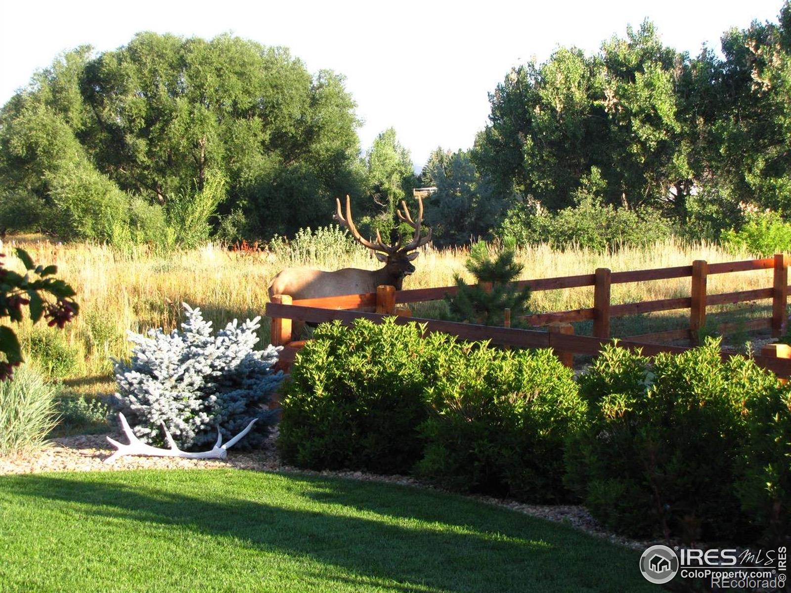 MLS Image #36 for 685  deer meadow drive,loveland, Colorado