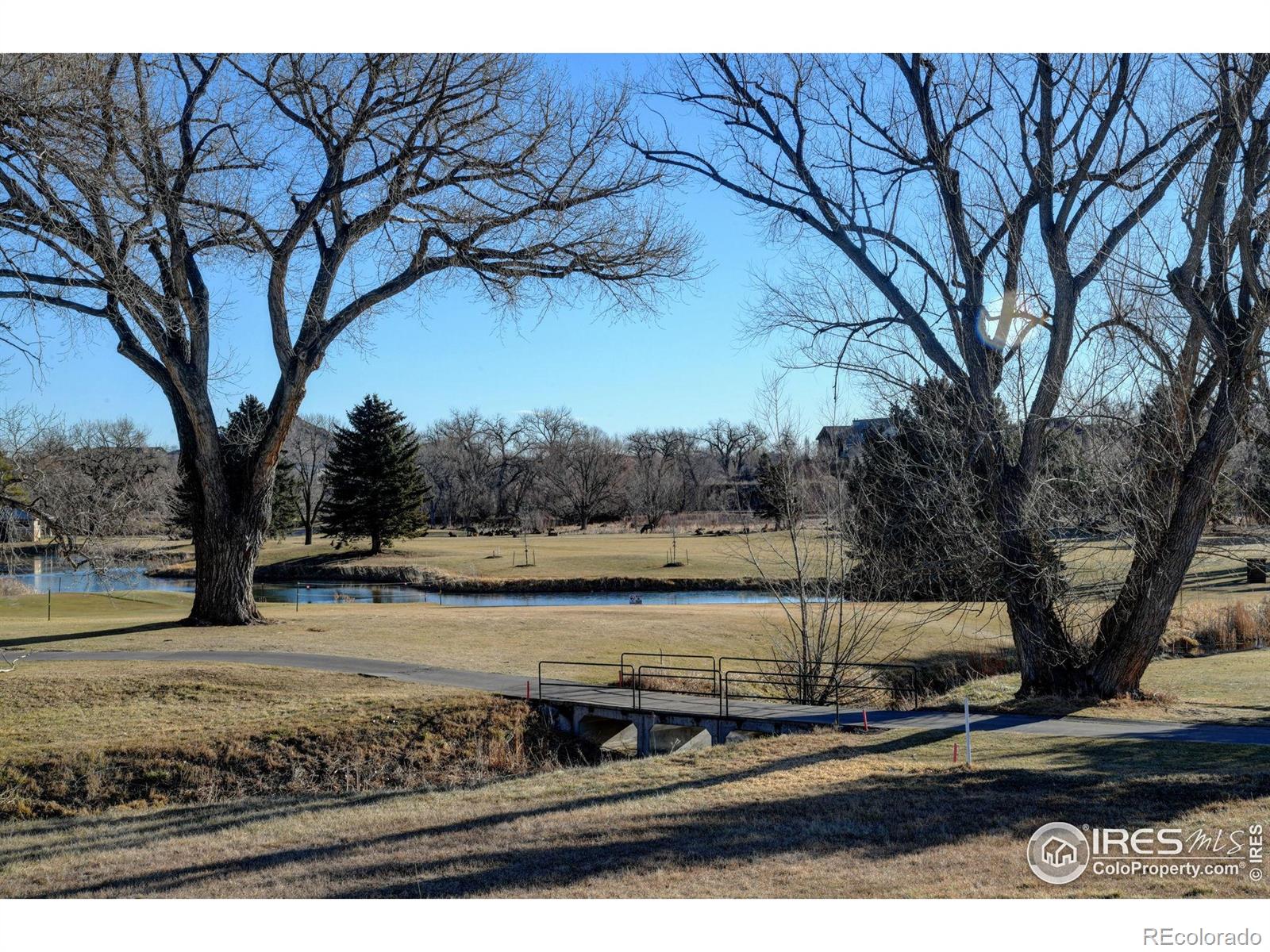 MLS Image #45 for 685  deer meadow drive,loveland, Colorado