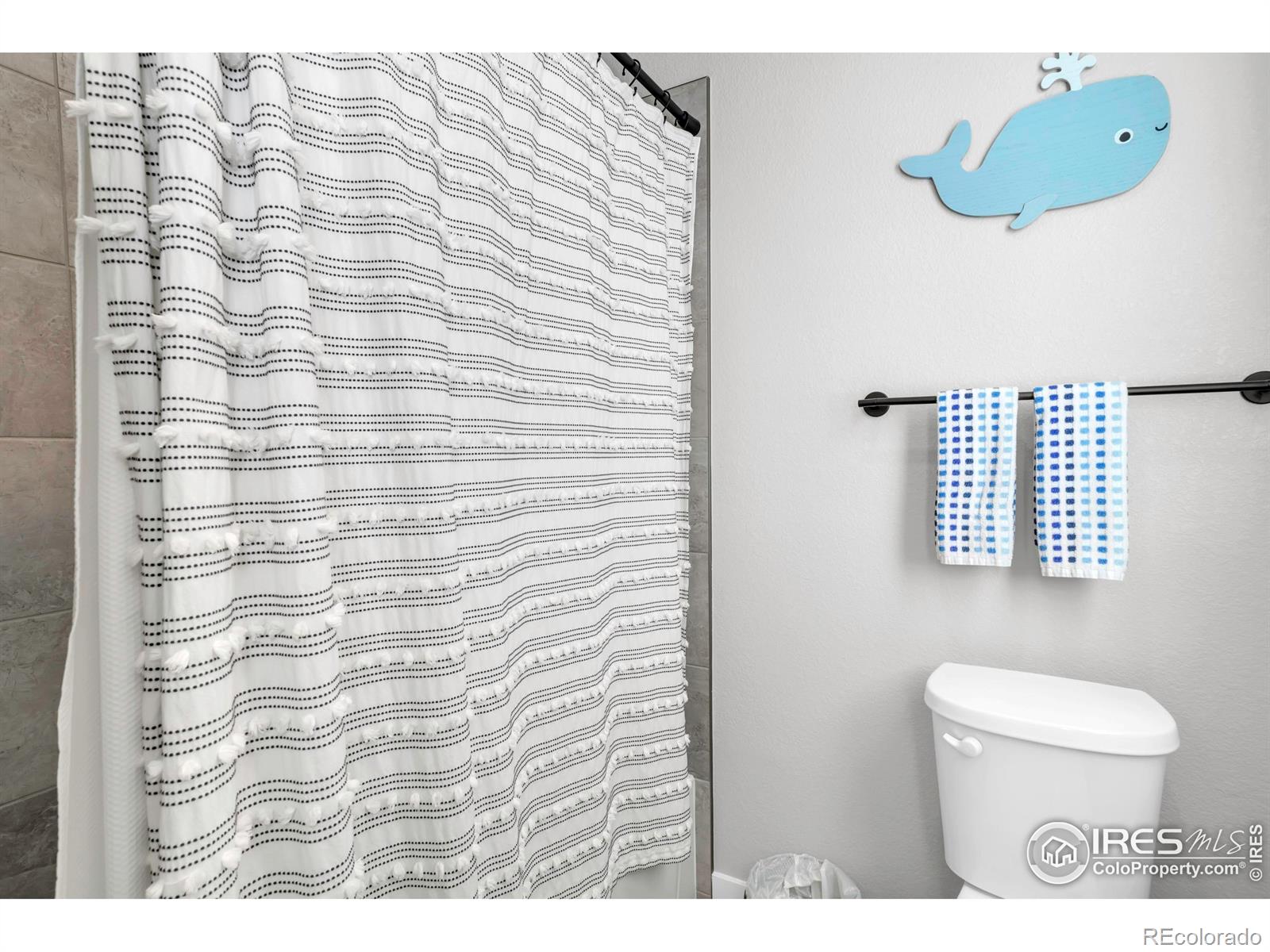 MLS Image #23 for 12546  lake terrace lane,firestone, Colorado