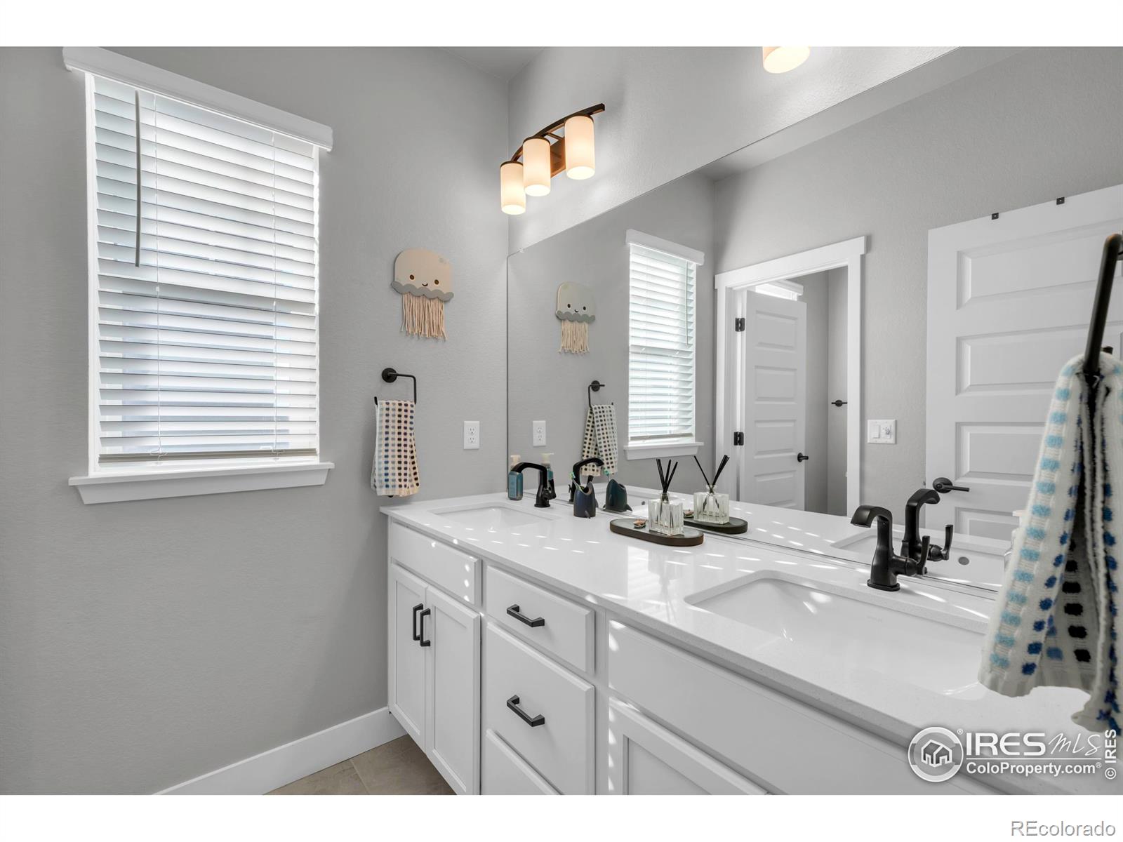 MLS Image #24 for 12546  lake terrace lane,firestone, Colorado