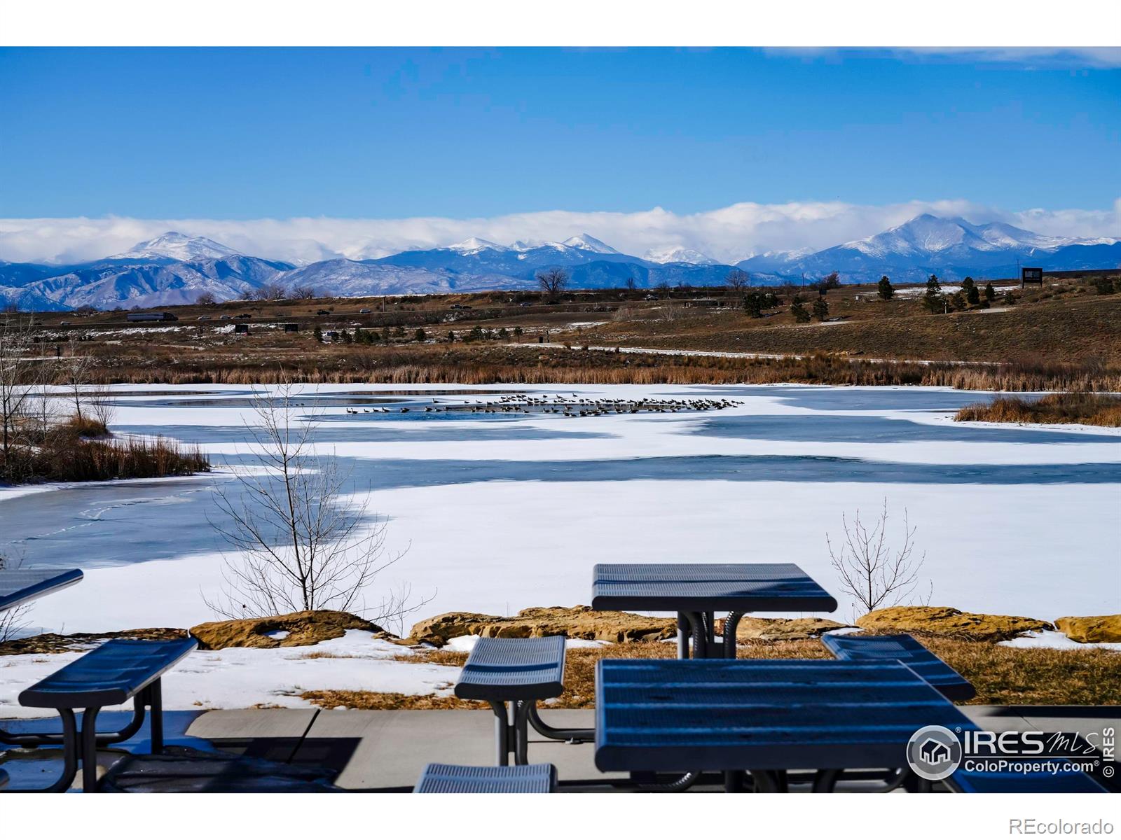 MLS Image #45 for 12546  lake terrace lane,firestone, Colorado