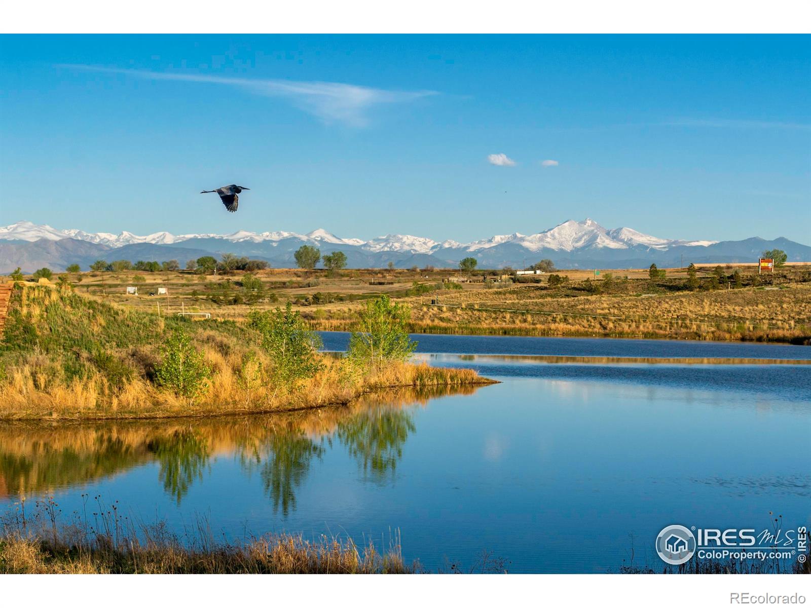 MLS Image #46 for 12546  lake terrace lane,firestone, Colorado