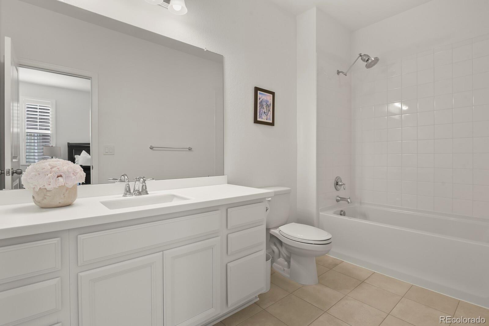 MLS Image #20 for 3055  blithe point,castle rock, Colorado