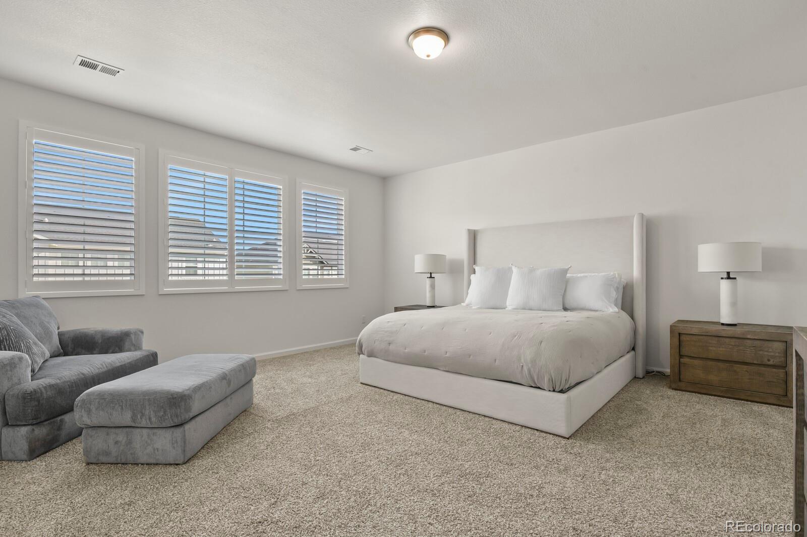 MLS Image #21 for 3055  blithe point,castle rock, Colorado