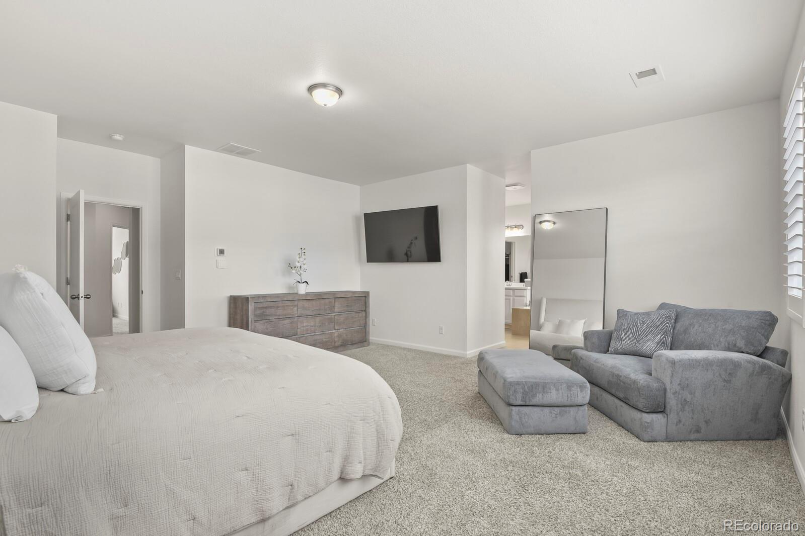 MLS Image #22 for 3055  blithe point,castle rock, Colorado