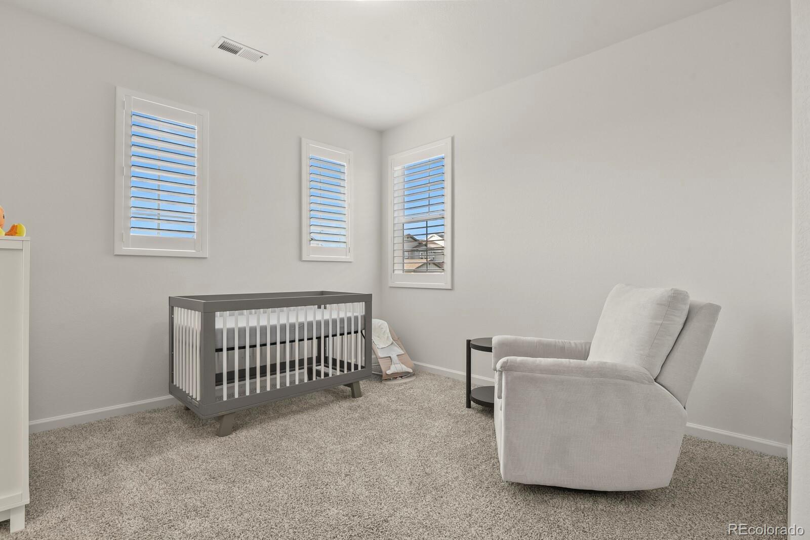 MLS Image #28 for 3055  blithe point,castle rock, Colorado