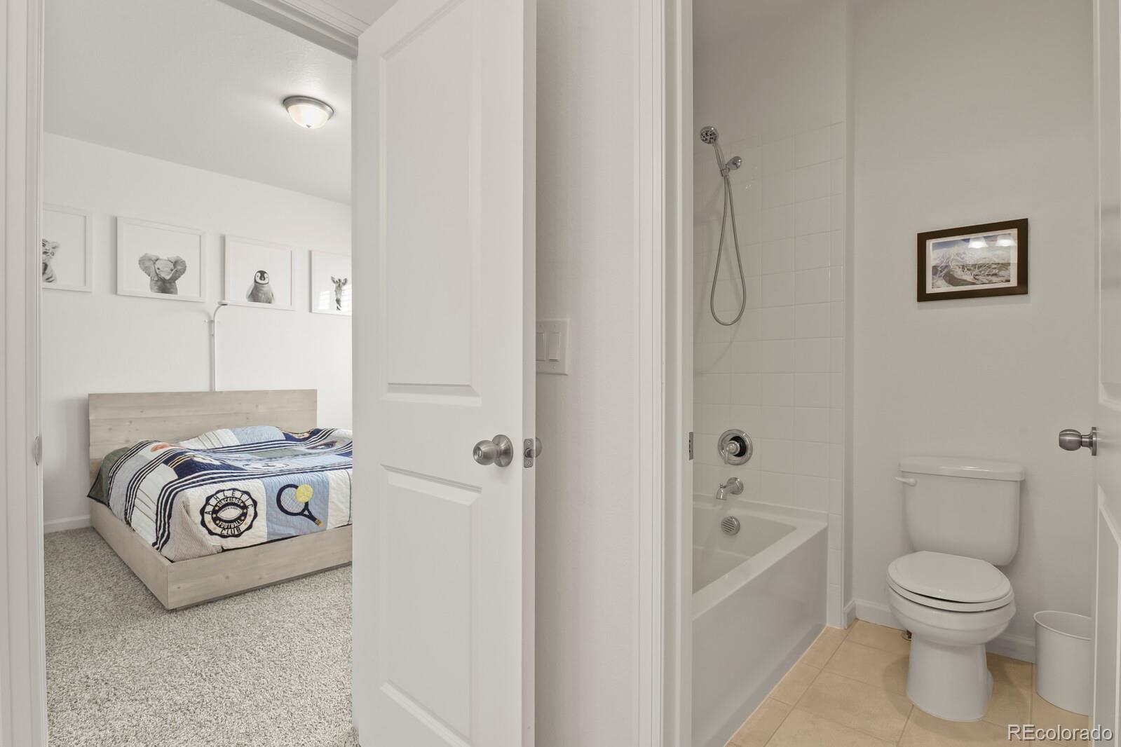 MLS Image #30 for 3055  blithe point,castle rock, Colorado