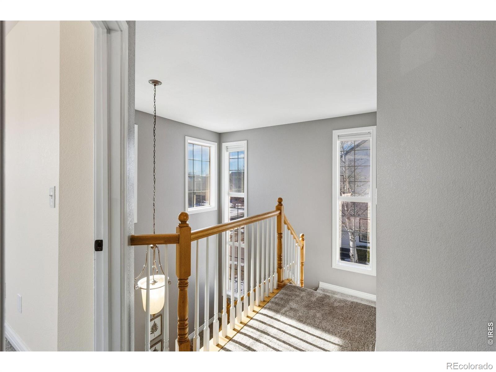 MLS Image #18 for 1224  fairfield avenue,windsor, Colorado