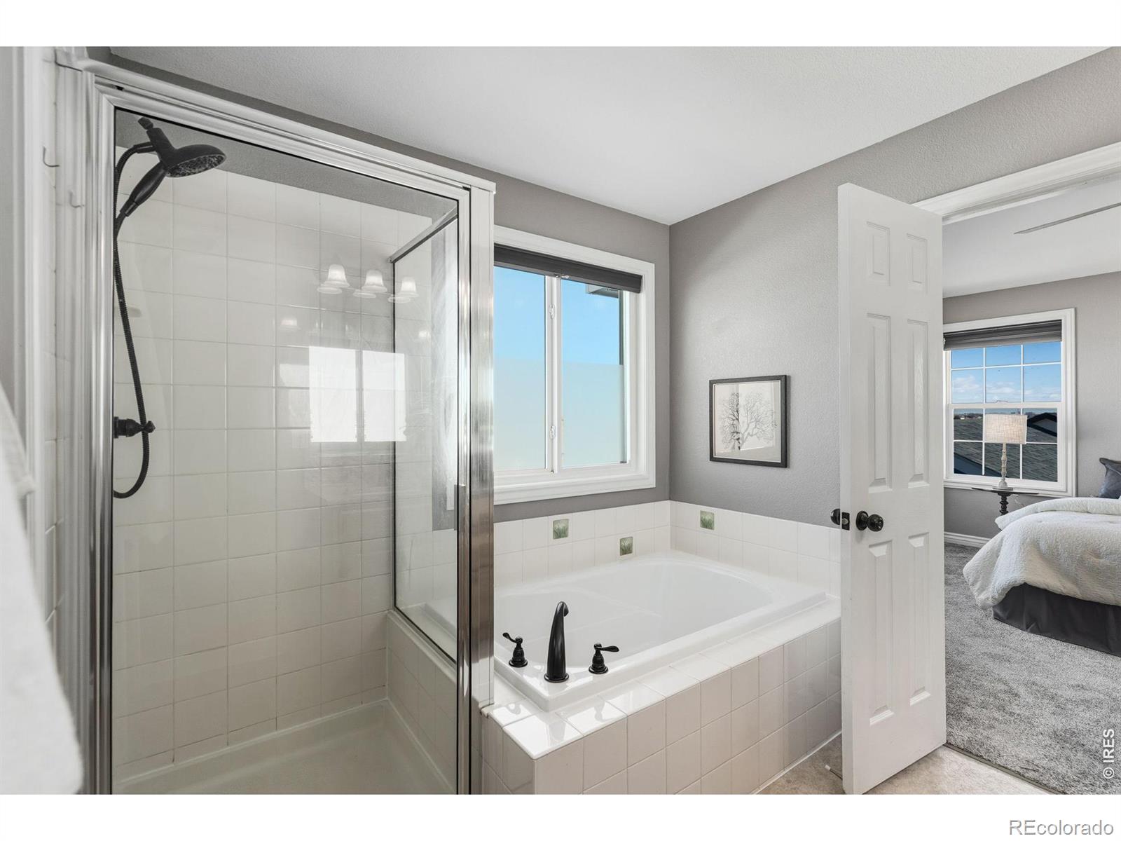 MLS Image #22 for 1224  fairfield avenue,windsor, Colorado