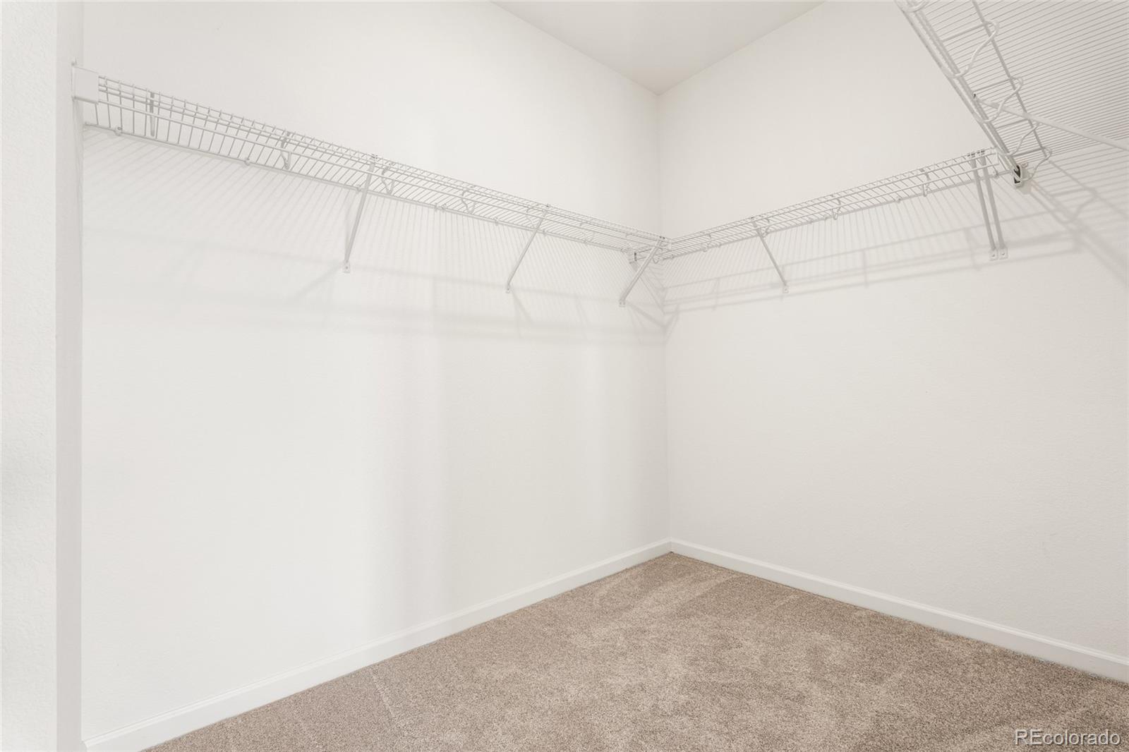MLS Image #38 for 4675  high mesa circle,castle rock, Colorado