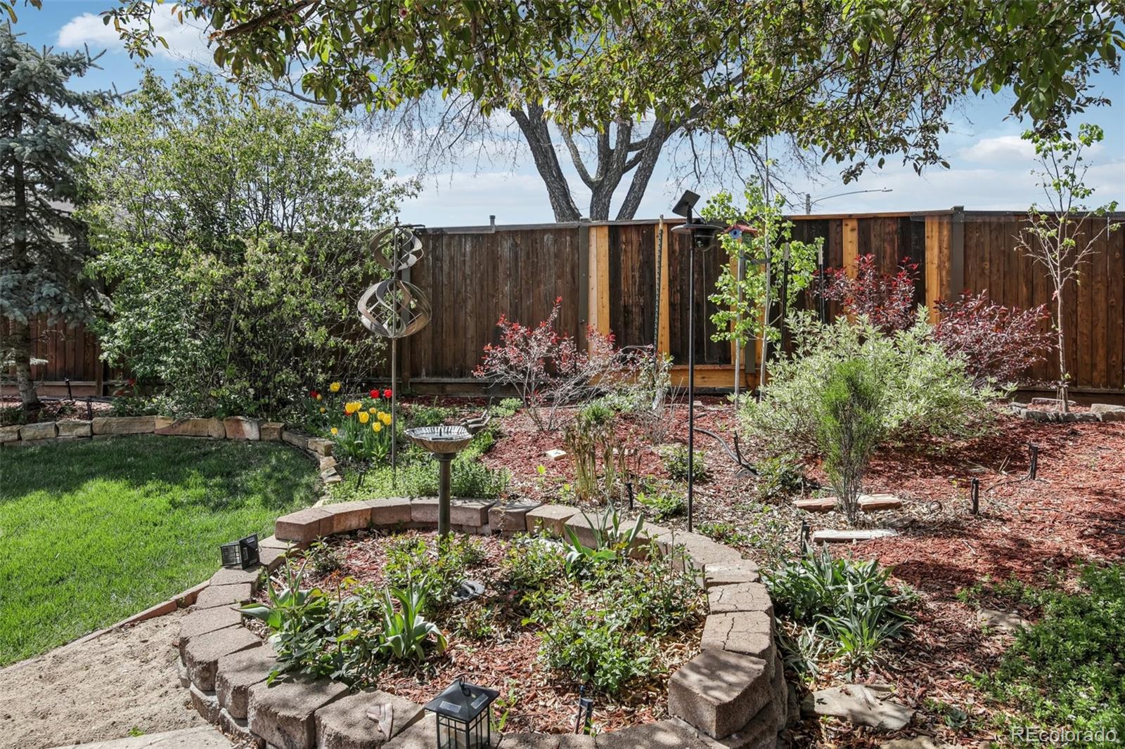 MLS Image #9 for 1164 w 101st place,northglenn, Colorado