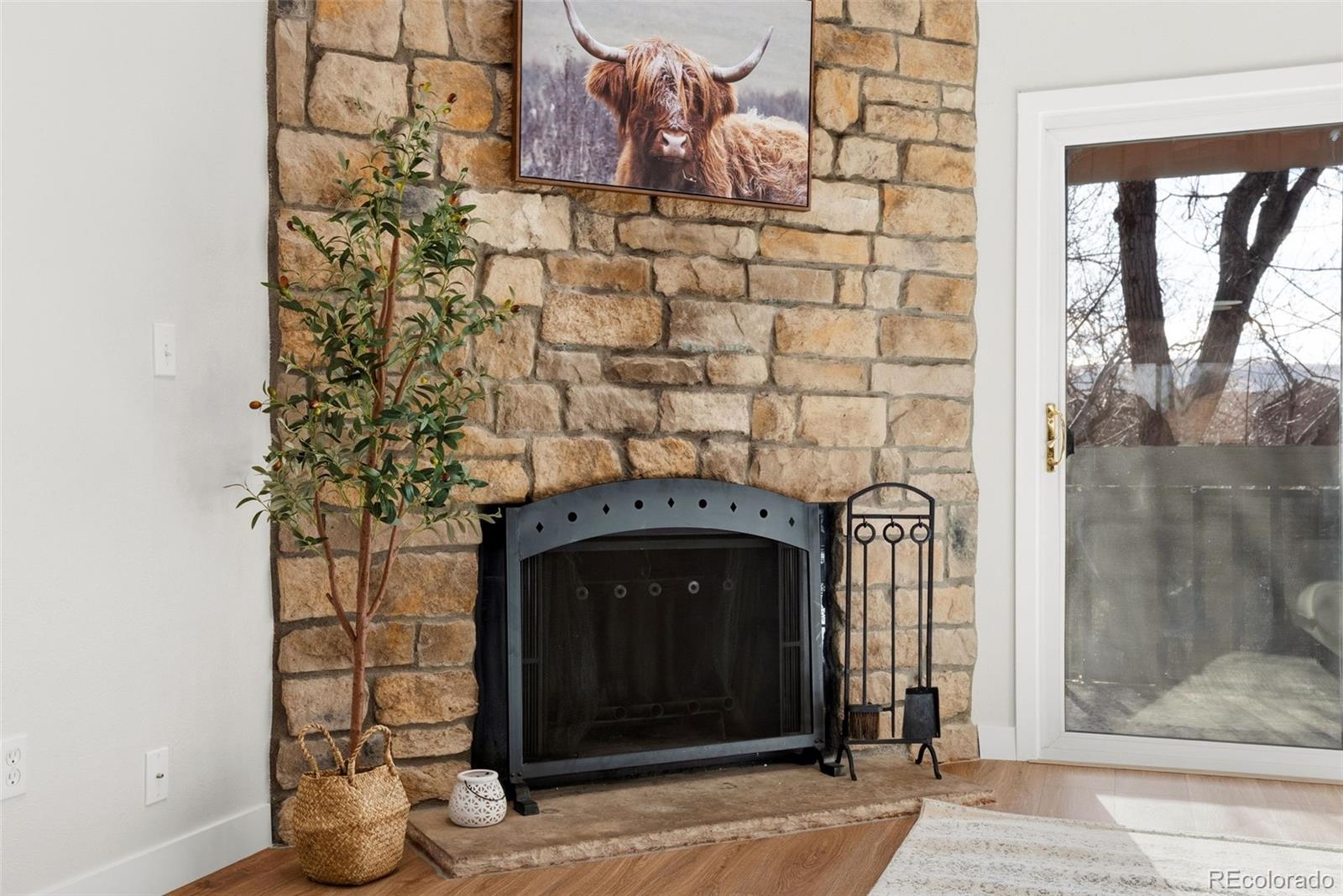 MLS Image #2 for 433  wright street 304,lakewood, Colorado