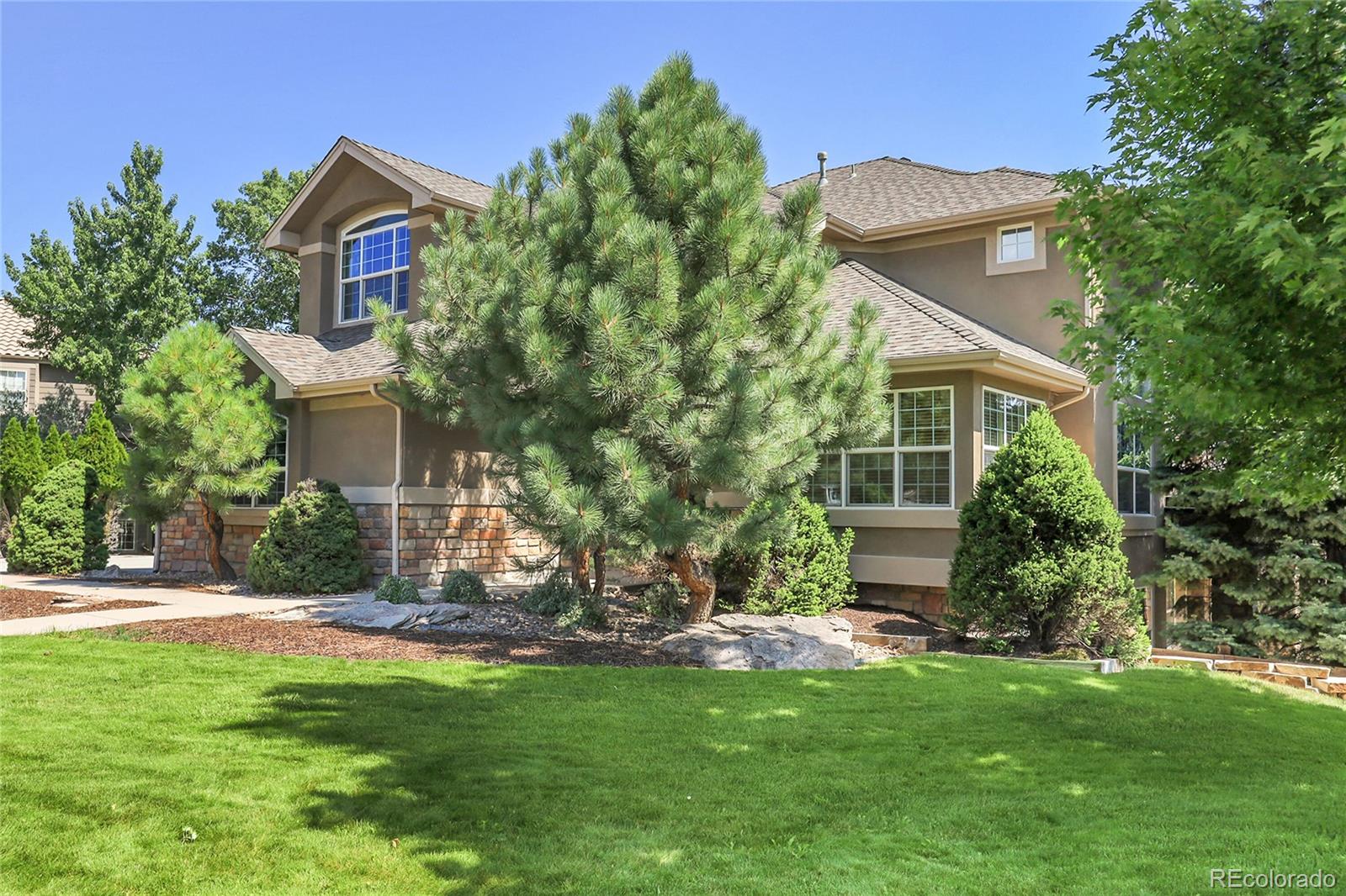 MLS Image #3 for 3266  coyote hills way,castle rock, Colorado