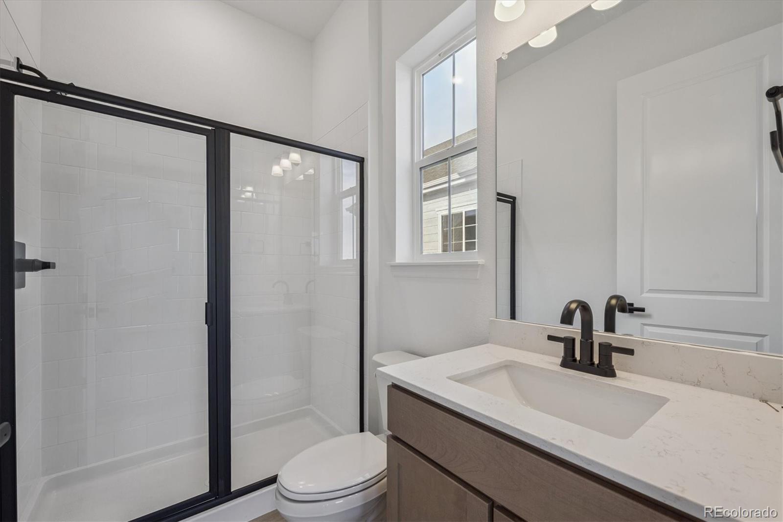 MLS Image #10 for 1186  weller street,timnath, Colorado