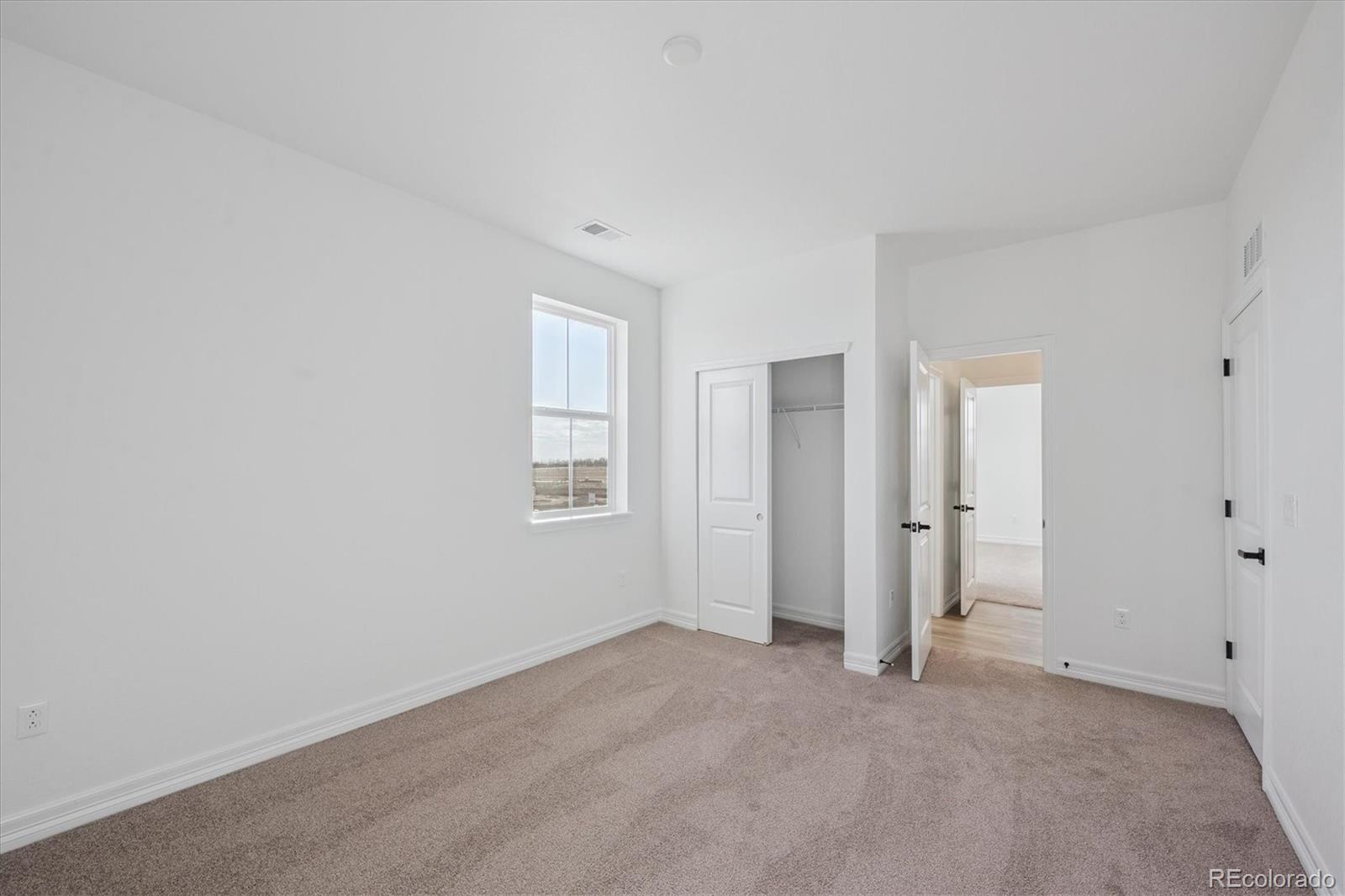 MLS Image #14 for 1186  weller street,timnath, Colorado