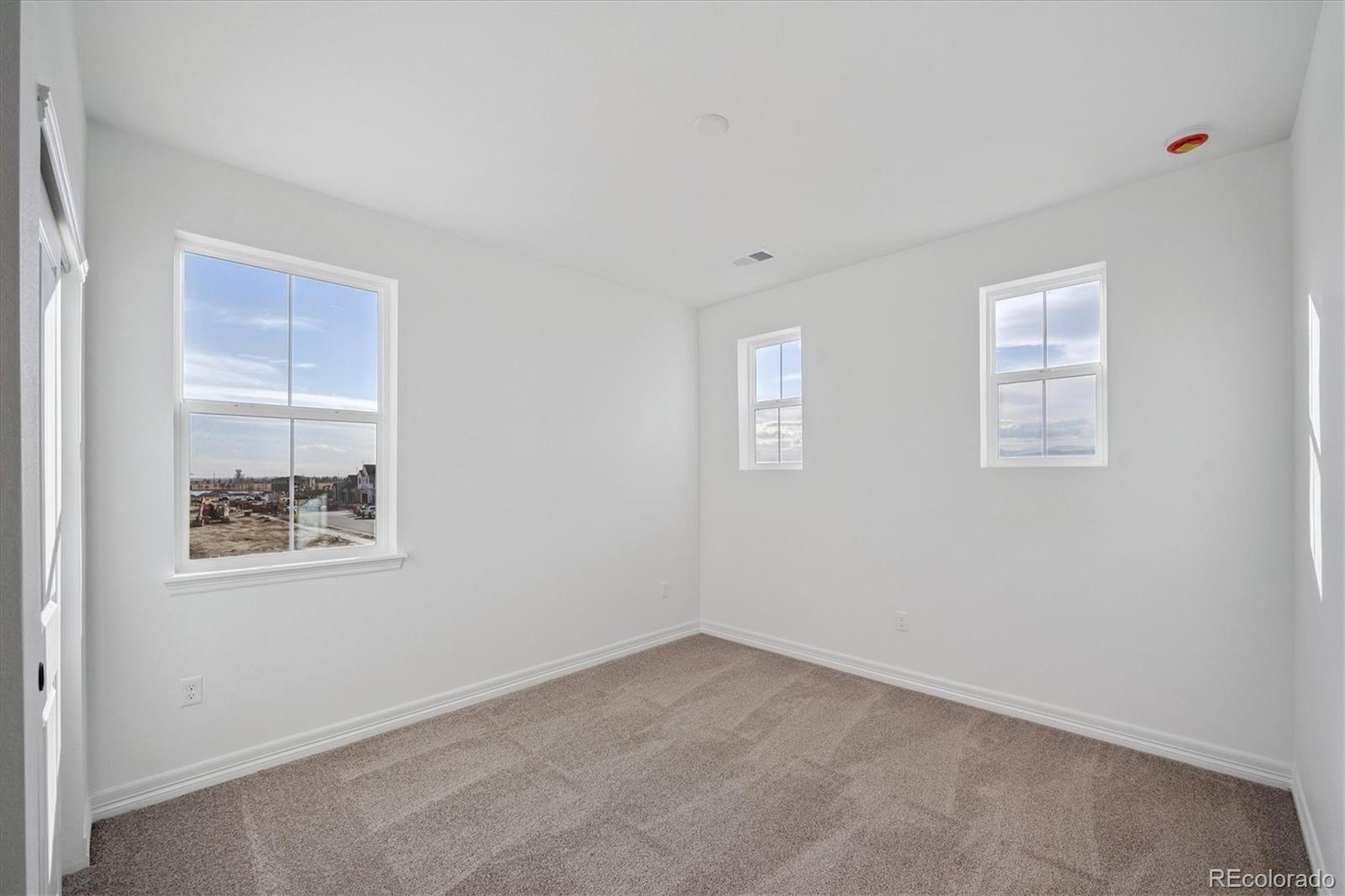 MLS Image #16 for 1186  weller street,timnath, Colorado