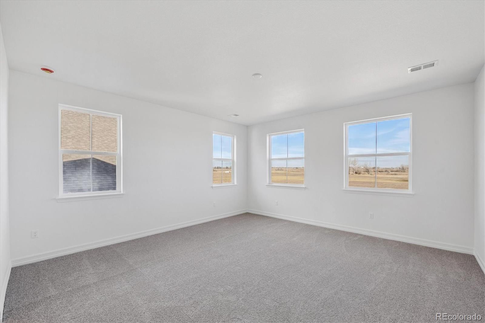 MLS Image #19 for 1186  weller street,timnath, Colorado