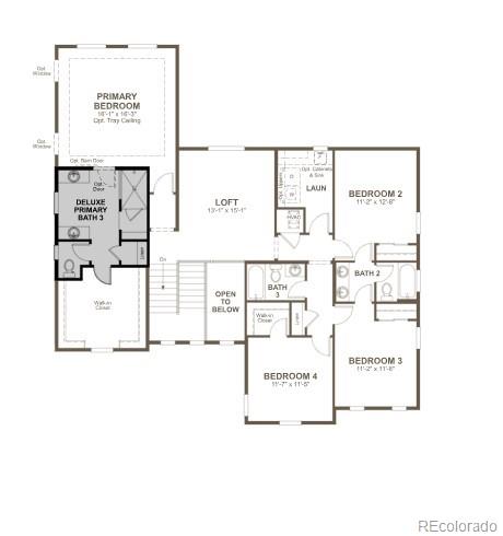 MLS Image #26 for 1186  weller street,timnath, Colorado