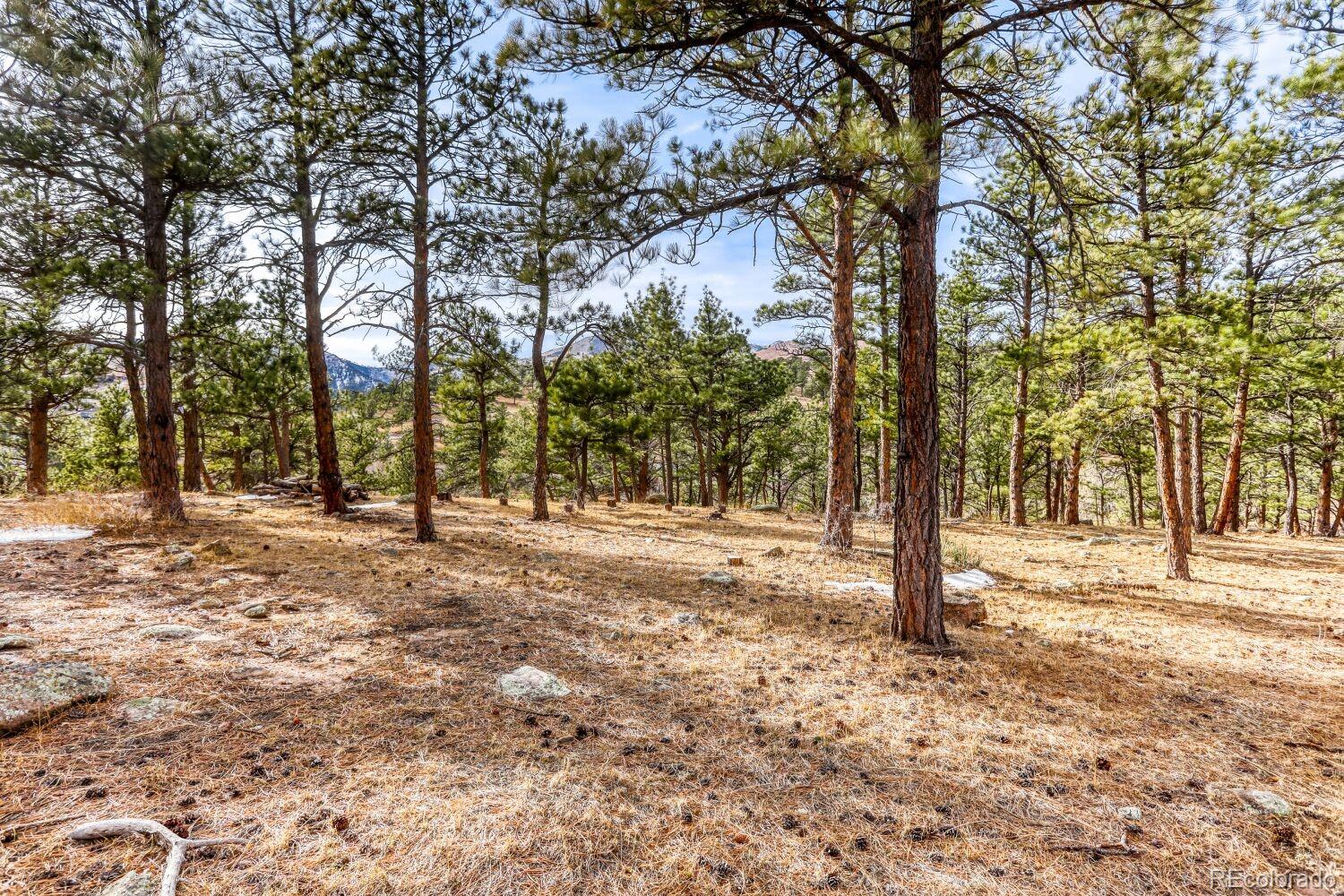 MLS Image #27 for 314  lefthand canyon drive,boulder, Colorado