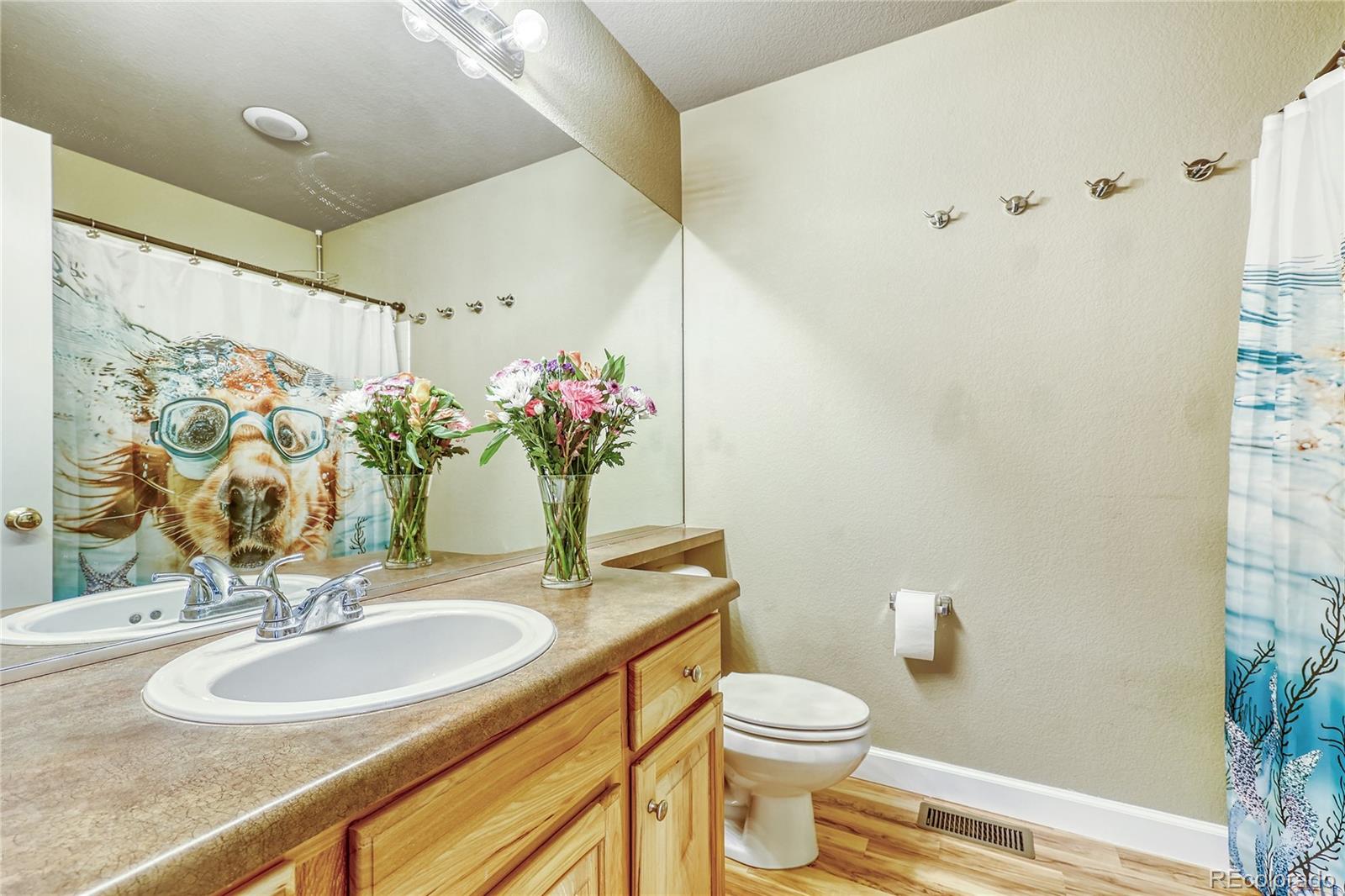 MLS Image #21 for 4535  addenbrooke loop,castle rock, Colorado