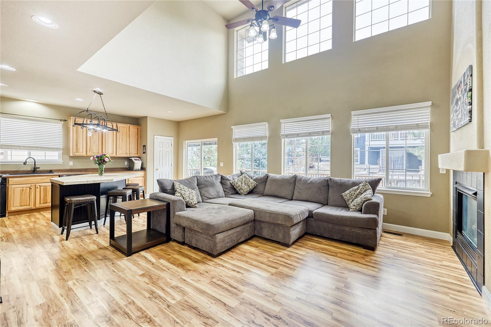 MLS Image #8 for 4535  addenbrooke loop,castle rock, Colorado