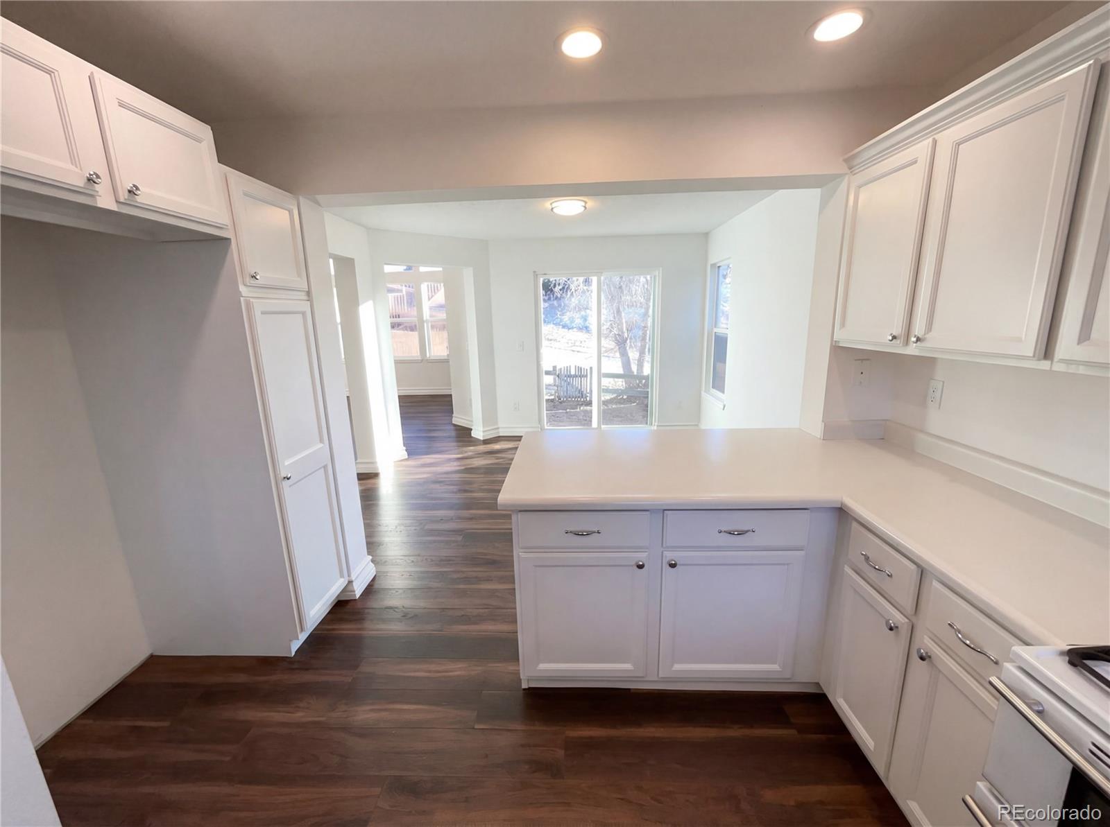 MLS Image #10 for 11094  tim tam way,parker, Colorado