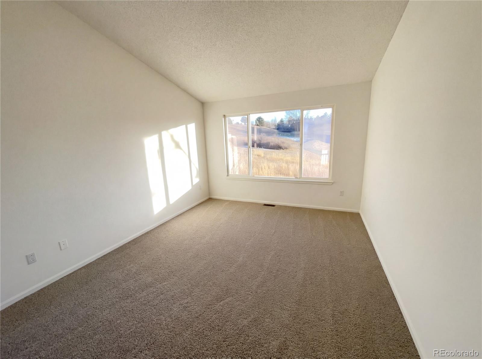 MLS Image #12 for 11094  tim tam way,parker, Colorado