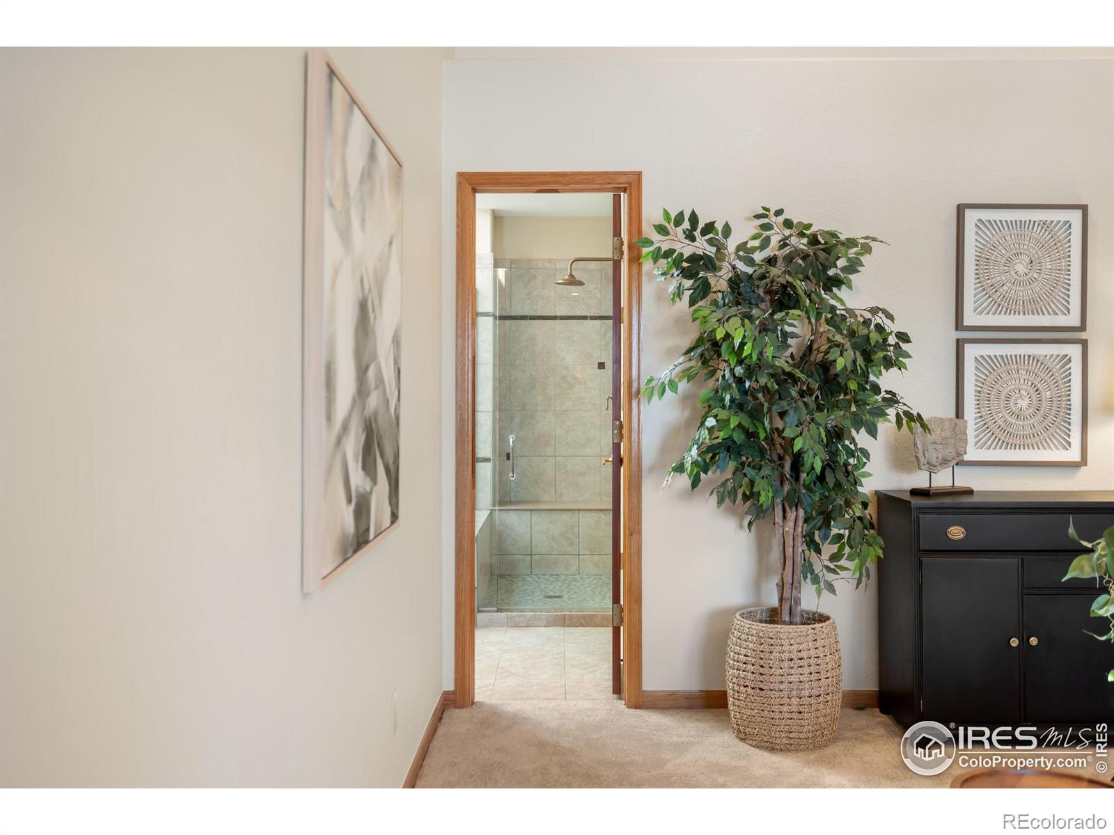 MLS Image #19 for 5300  vardon way,fort collins, Colorado