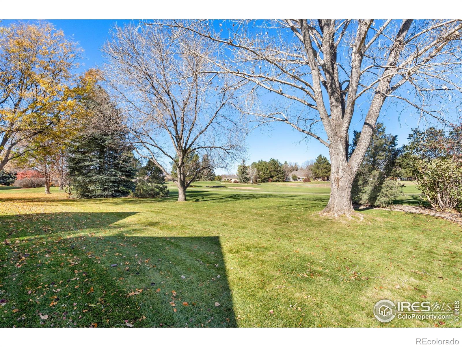 MLS Image #41 for 5300  vardon way,fort collins, Colorado