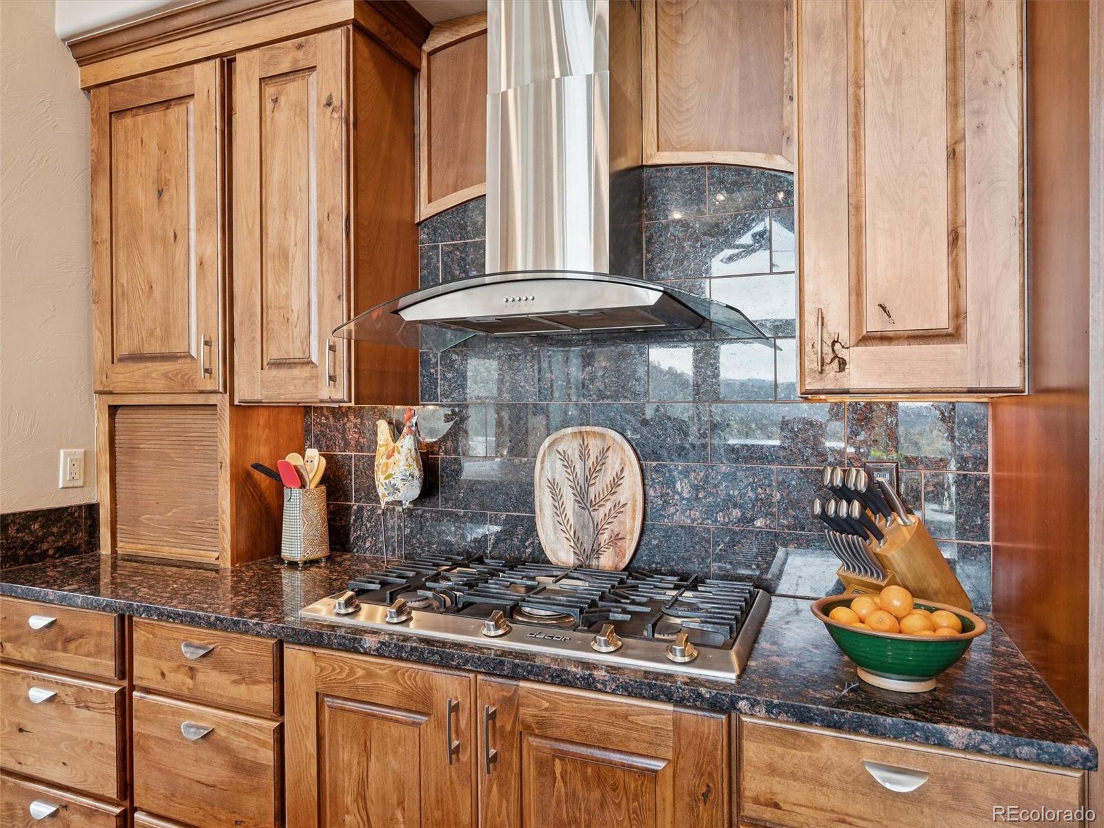 MLS Image #16 for 280  meadow lane,evergreen, Colorado