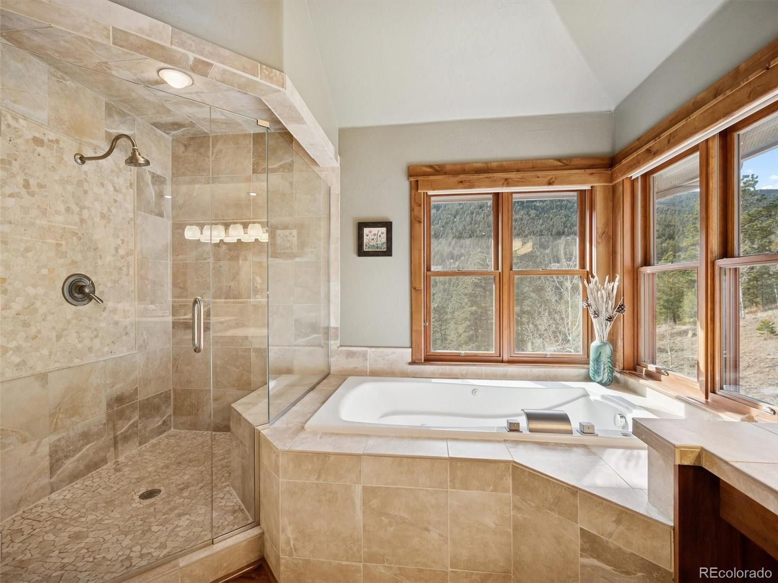 MLS Image #27 for 280  meadow lane,evergreen, Colorado