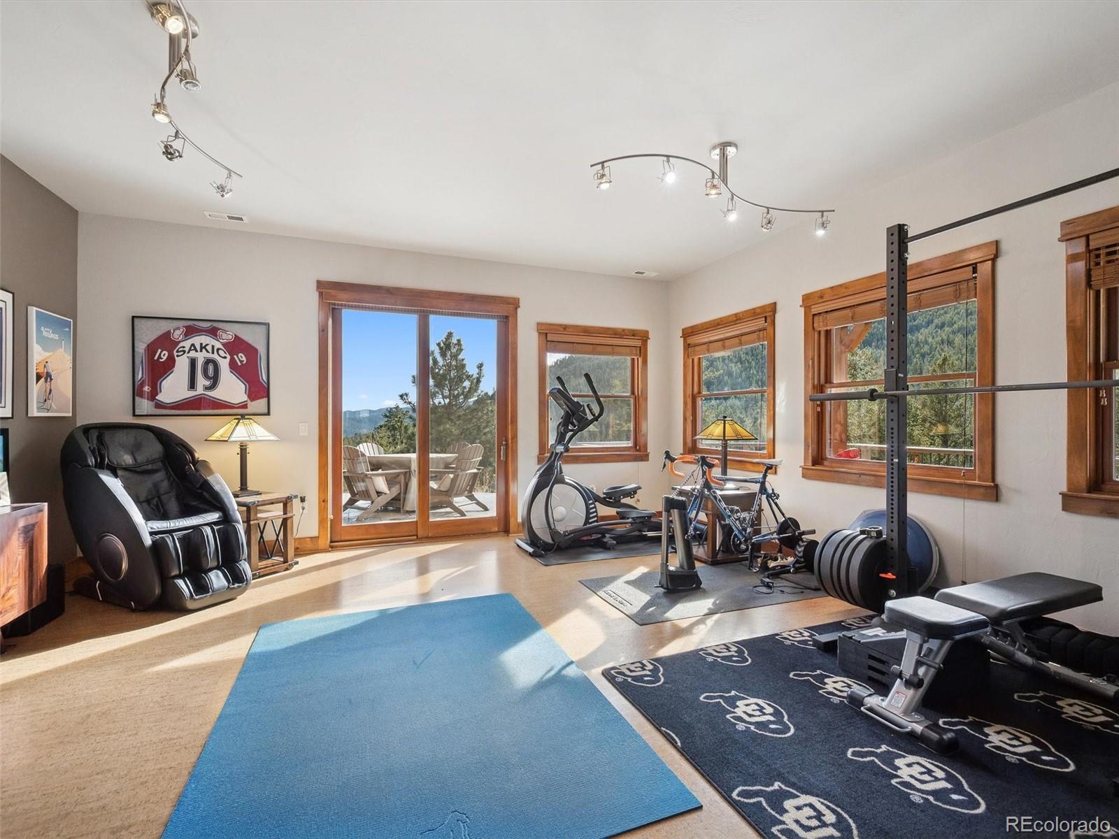 MLS Image #28 for 280  meadow lane,evergreen, Colorado