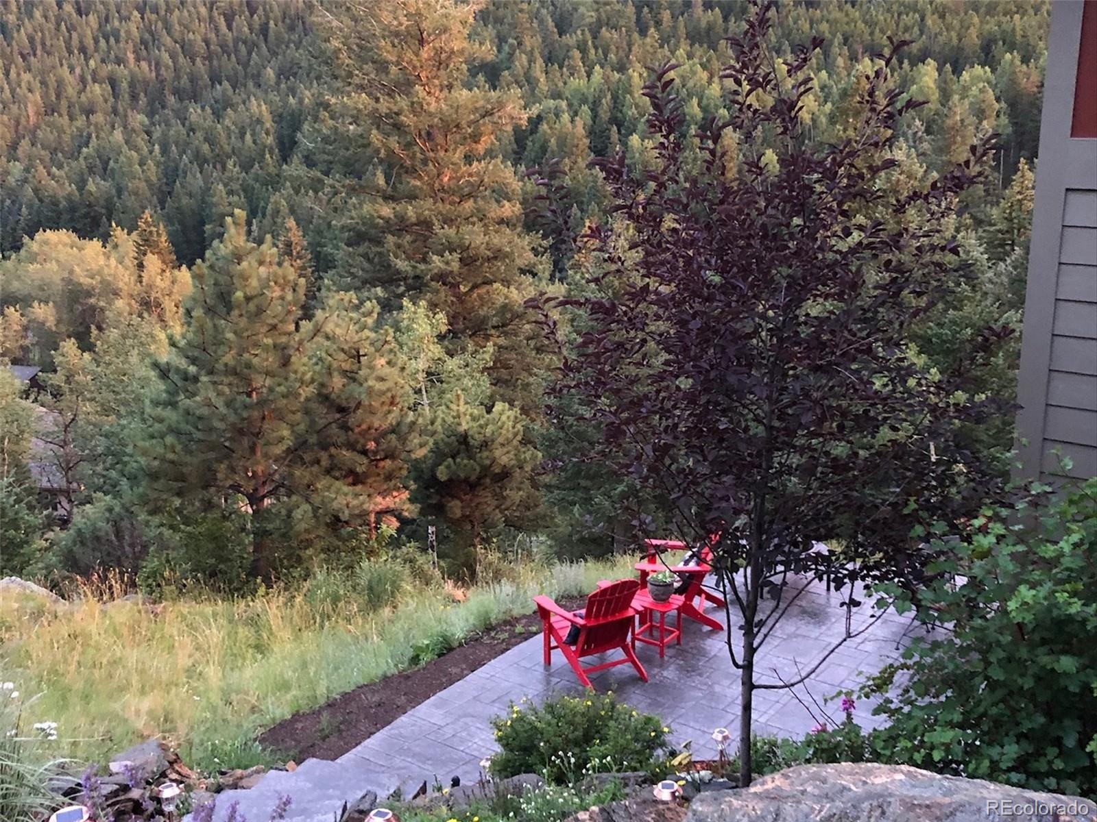 MLS Image #39 for 280  meadow lane,evergreen, Colorado