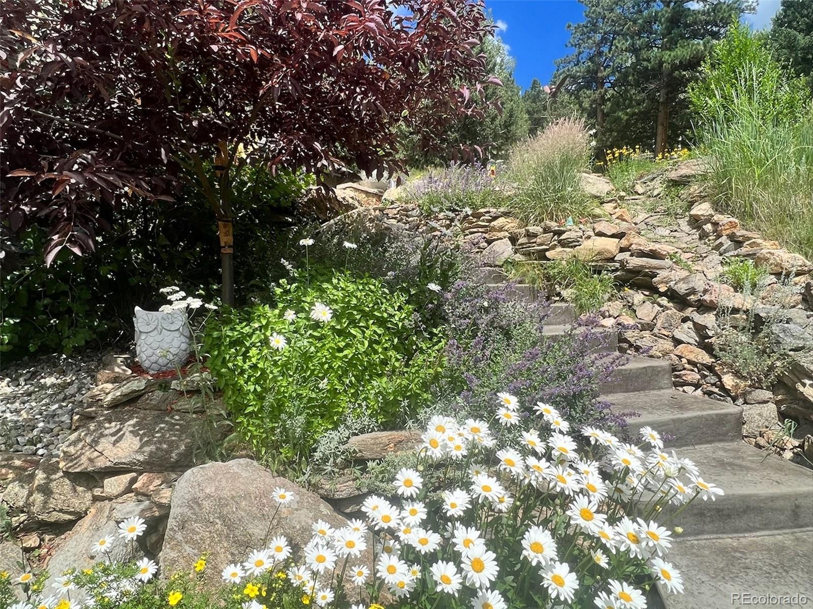 MLS Image #40 for 280  meadow lane,evergreen, Colorado