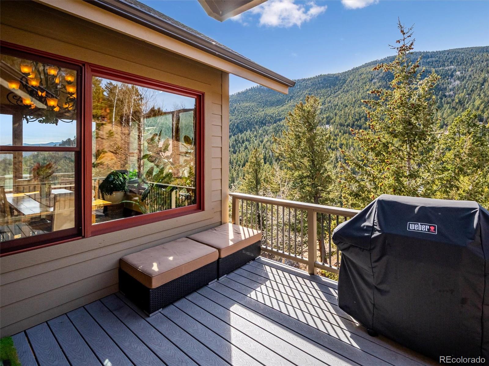 MLS Image #44 for 280  meadow lane,evergreen, Colorado