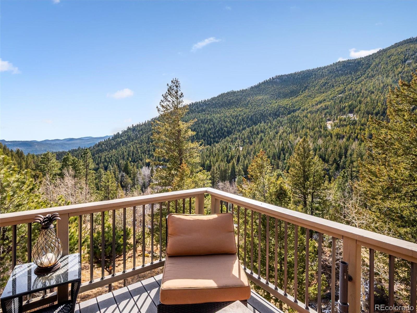 MLS Image #45 for 280  meadow lane,evergreen, Colorado