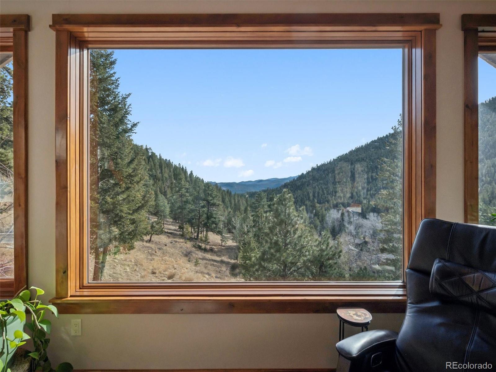 MLS Image #8 for 280  meadow lane,evergreen, Colorado