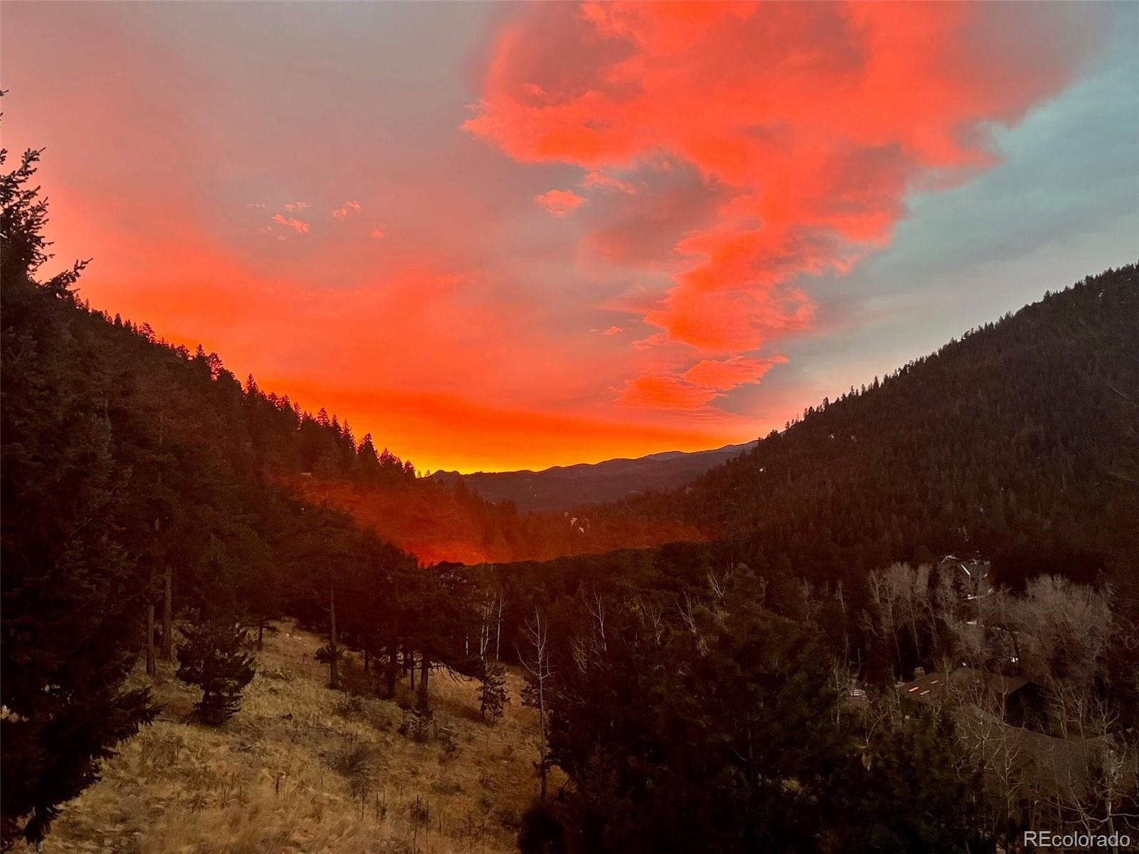 MLS Image #9 for 280  meadow lane,evergreen, Colorado
