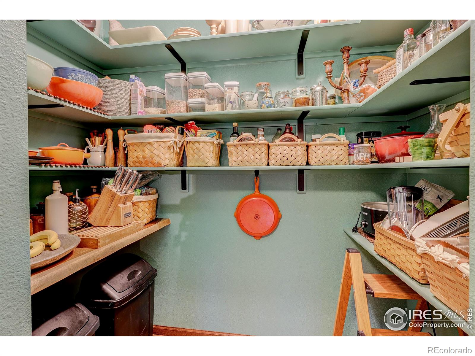 MLS Image #10 for 1542  quail hollow drive,fort collins, Colorado