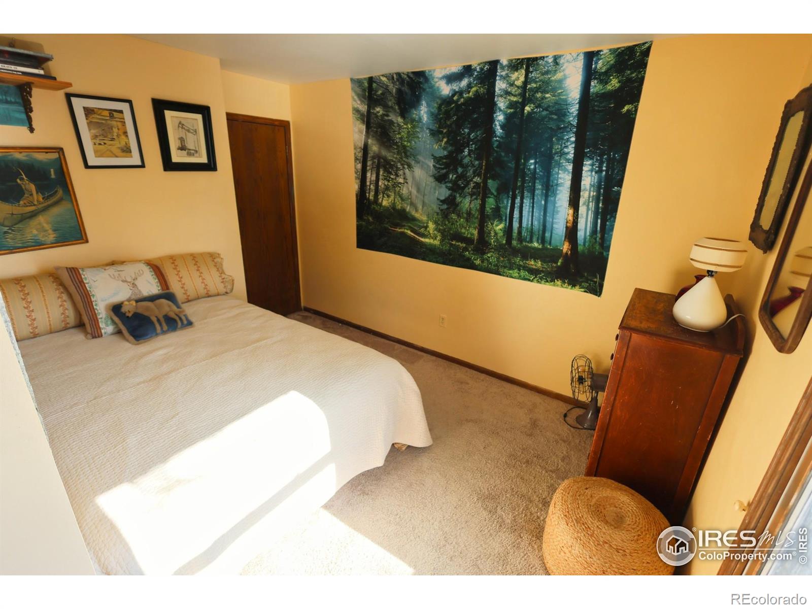 MLS Image #25 for 1542  quail hollow drive,fort collins, Colorado
