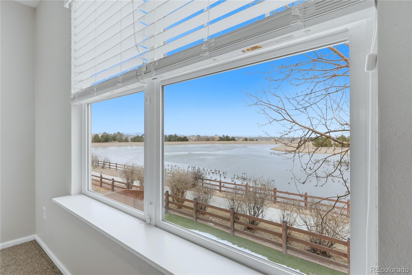 MLS Image #25 for 15975  longford drive,parker, Colorado