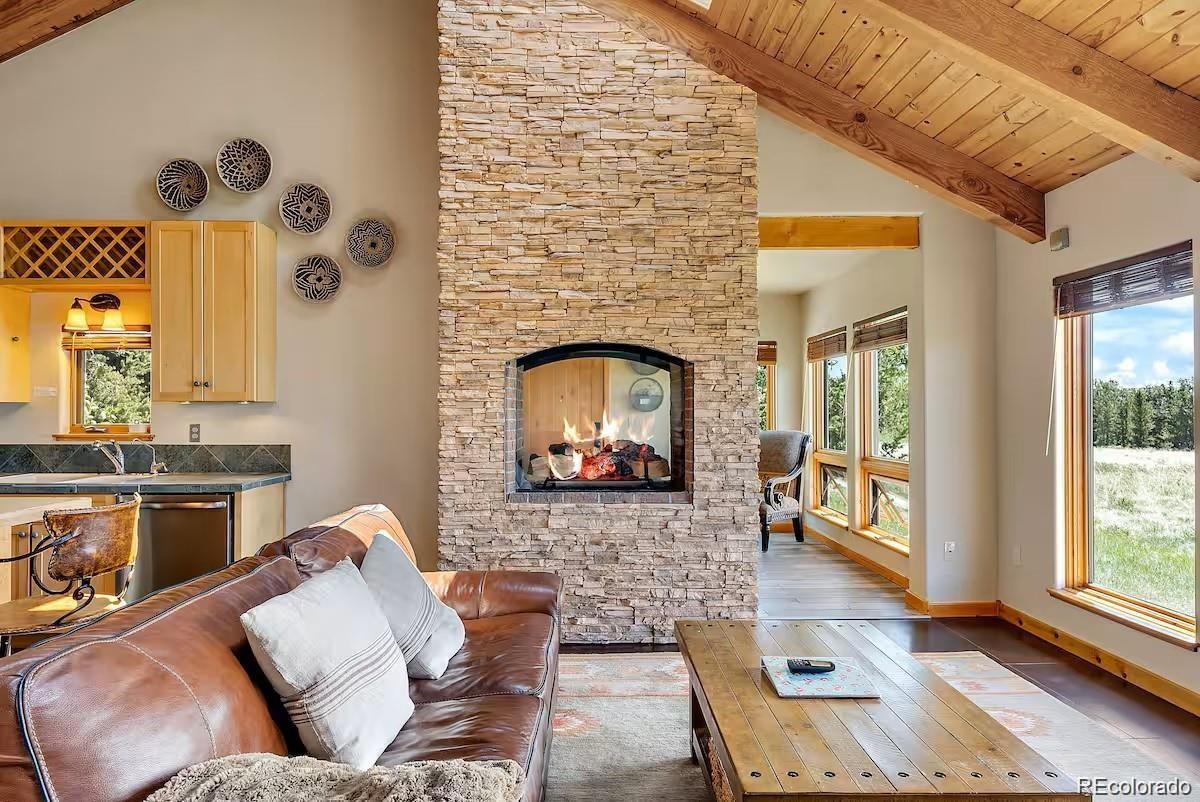 MLS Image #1 for 2567  coil drive,fairplay, Colorado